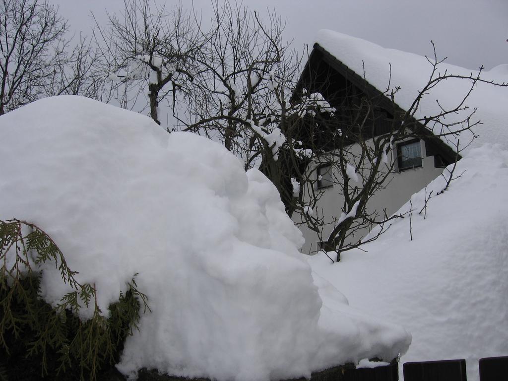 Nasa Hisa Daire Bohinj Oda fotoğraf