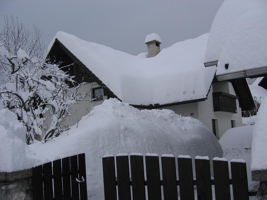 Nasa Hisa Daire Bohinj Oda fotoğraf