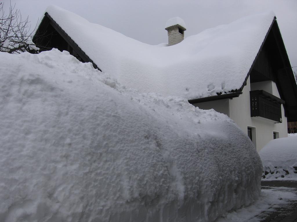 Nasa Hisa Daire Bohinj Oda fotoğraf