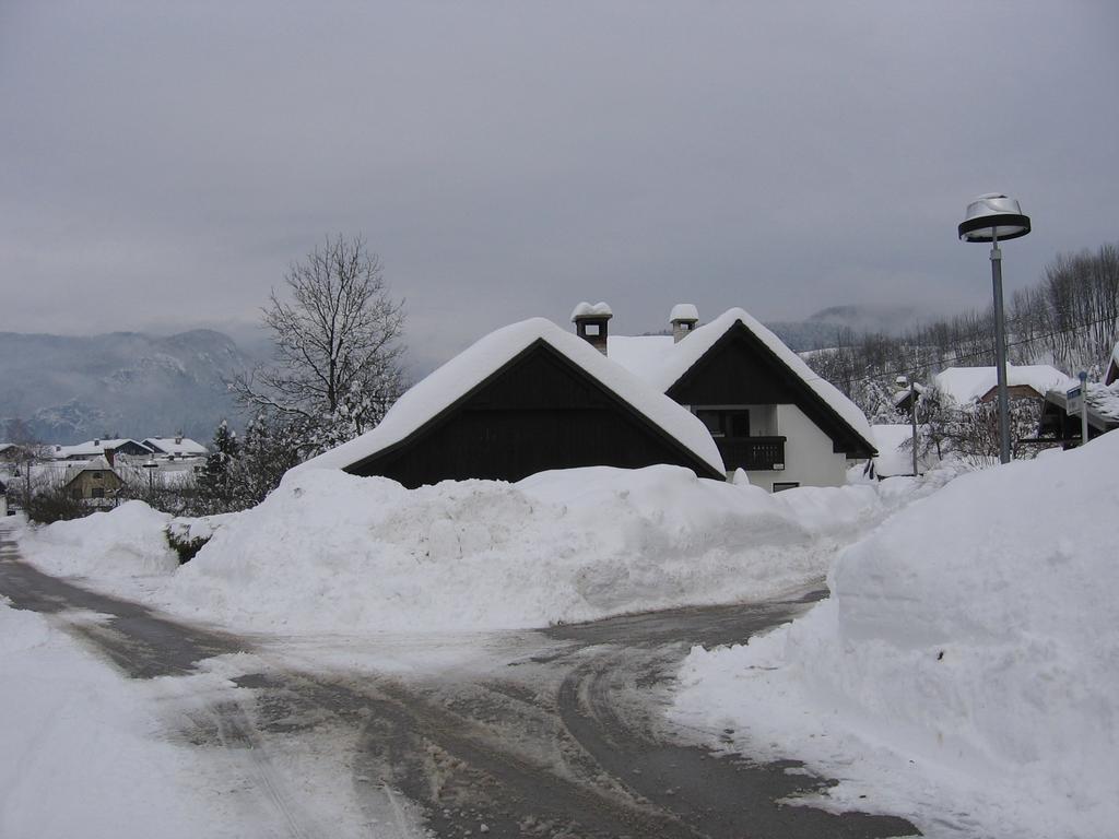 Nasa Hisa Daire Bohinj Dış mekan fotoğraf